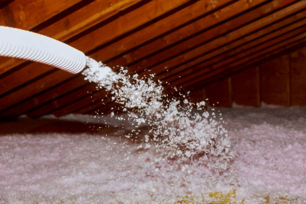 Best Basement Insulation  in Midway, KY